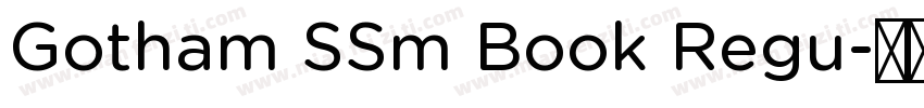 Gotham SSm Book Regu字体转换